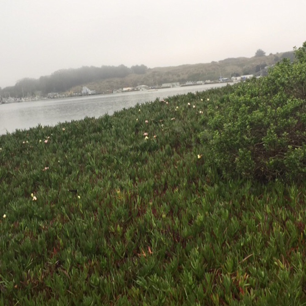 Meet your Posher, Jayden